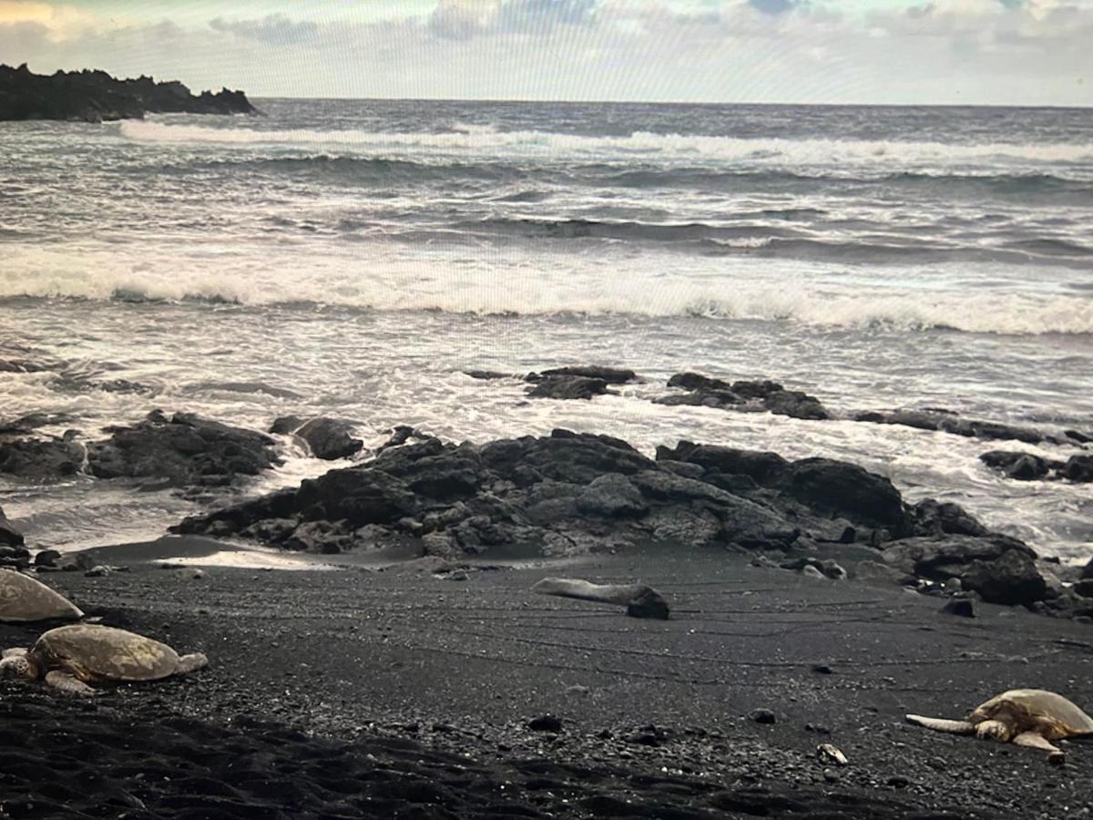 Aparthotel Ocean View Mauna Loa Shores Kai Ekahi #201 Next To Carlsmith Park Hi *