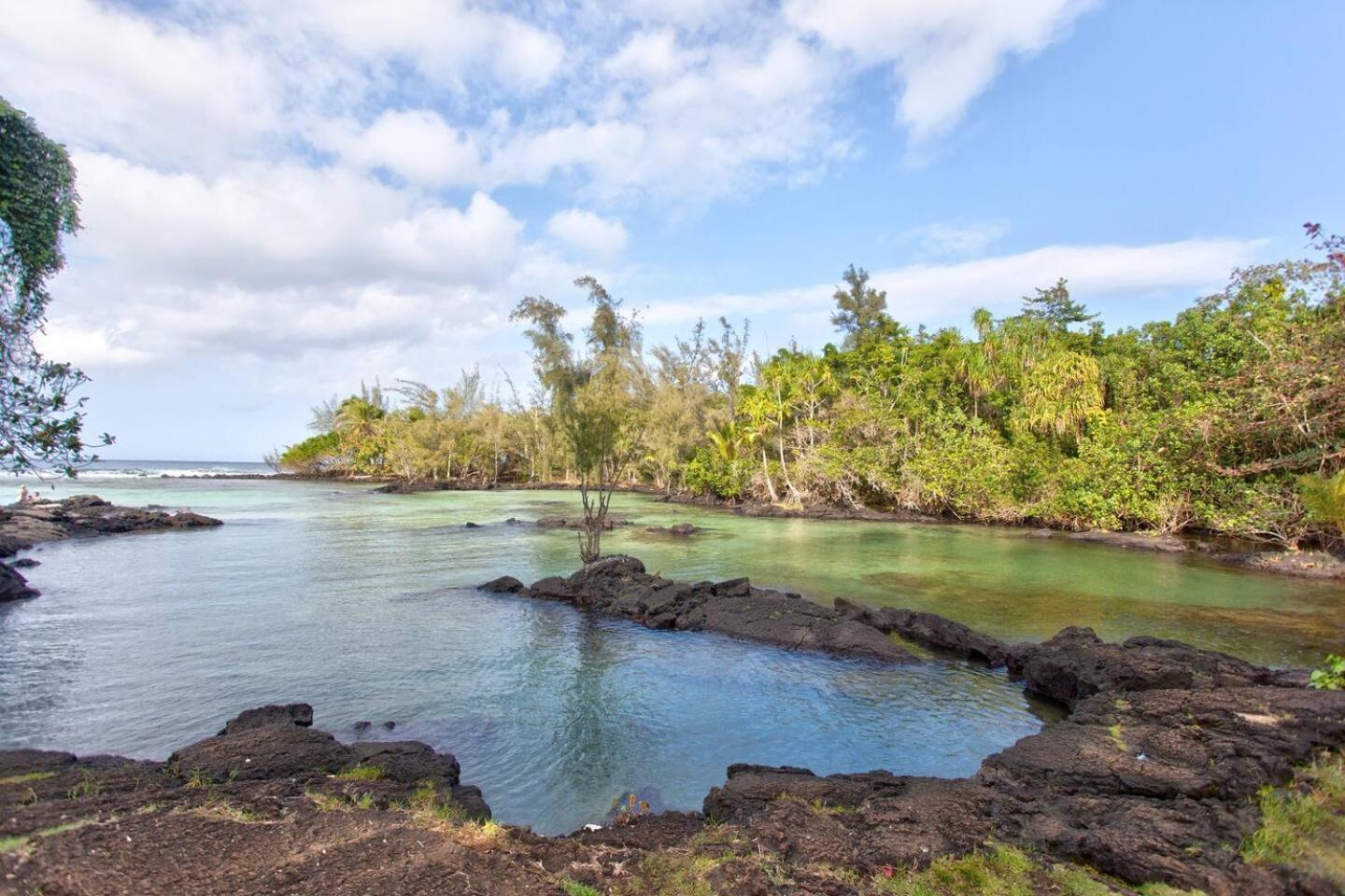 Ocean View Mauna Loa Shores Kai Ekahi #201 Next To Carlsmith Park Hi *