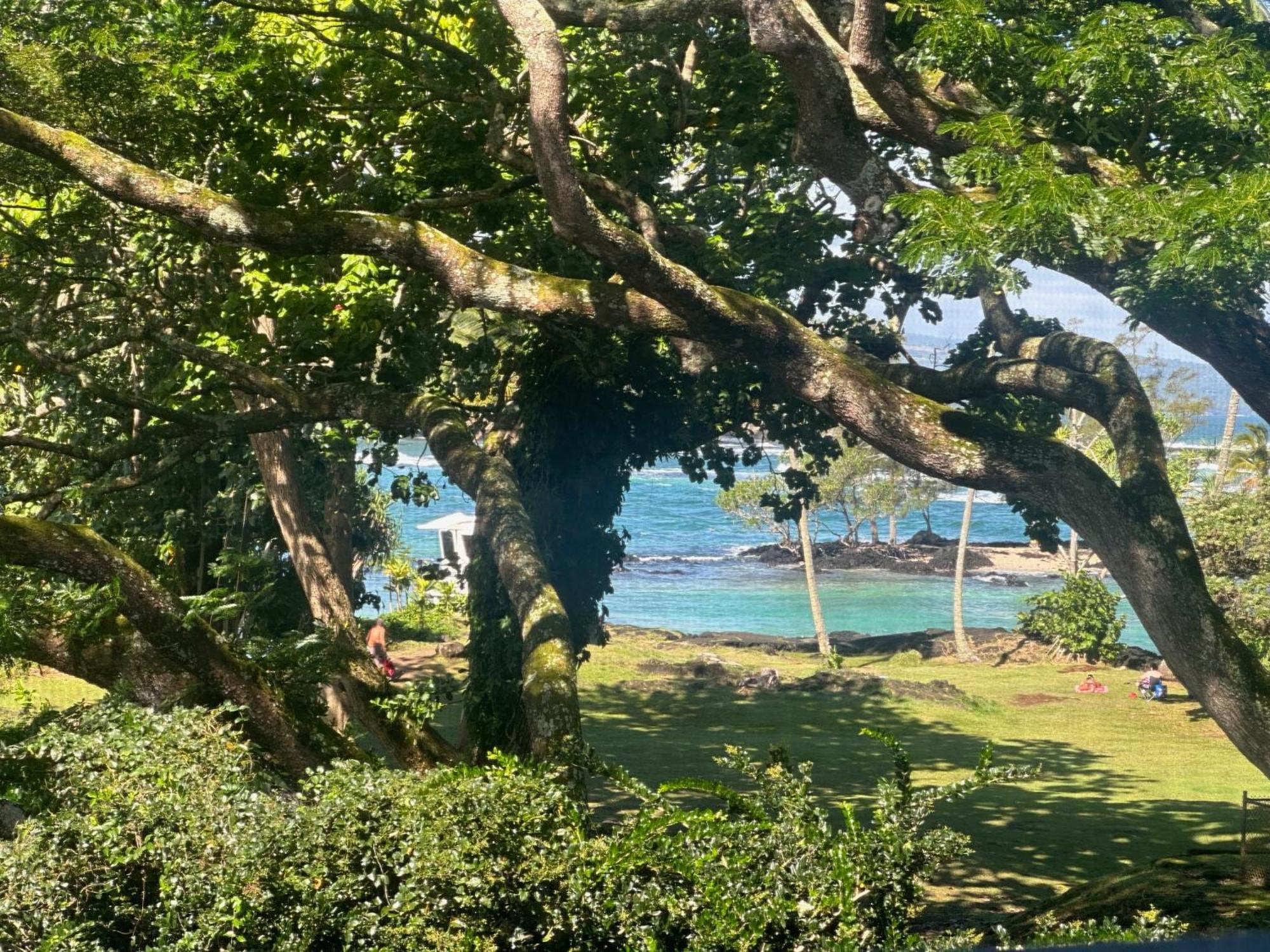 Ocean View Mauna Loa Shores Kai Ekahi #201 Next To Carlsmith Park Hi Hilo