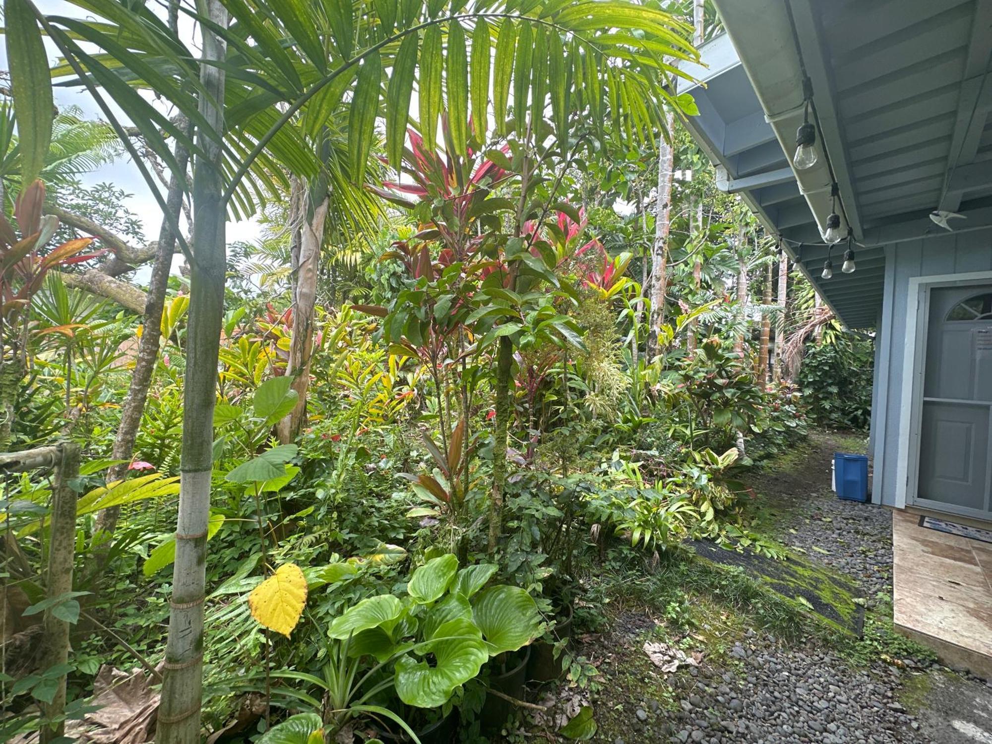 Bed & Breakfast Hawaiian Ohana