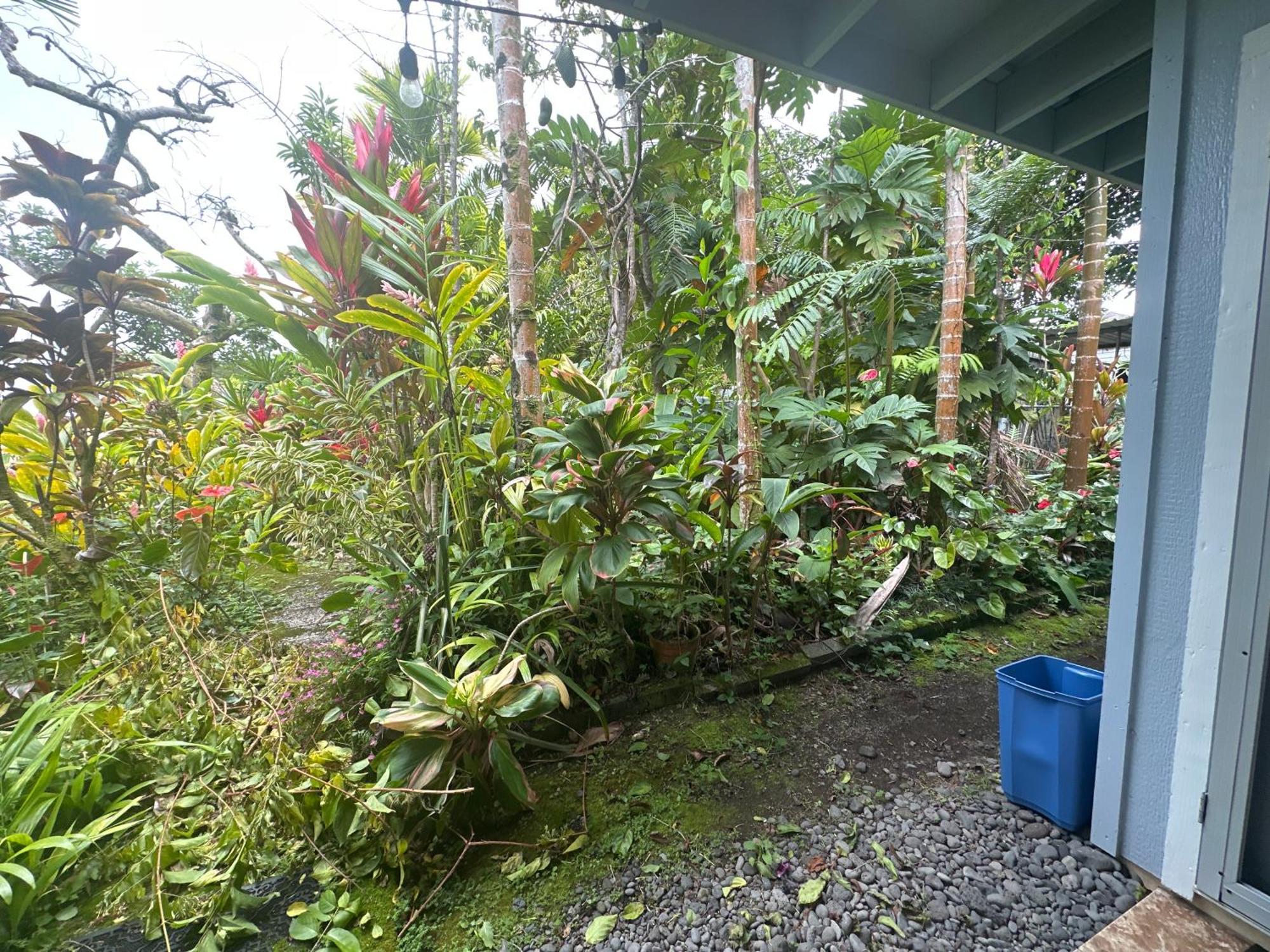 Hawaiian Ohana Hilo