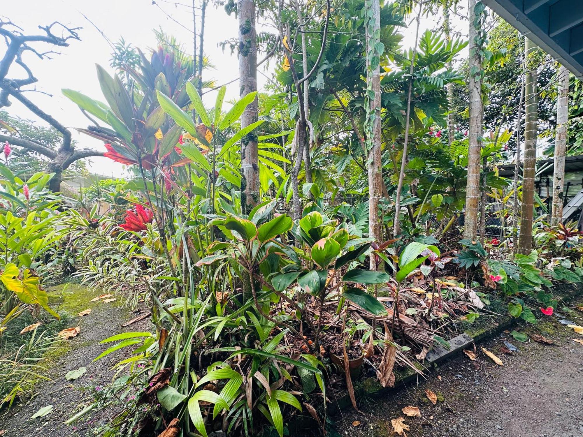 Bed & Breakfast Hawaiian Ohana *