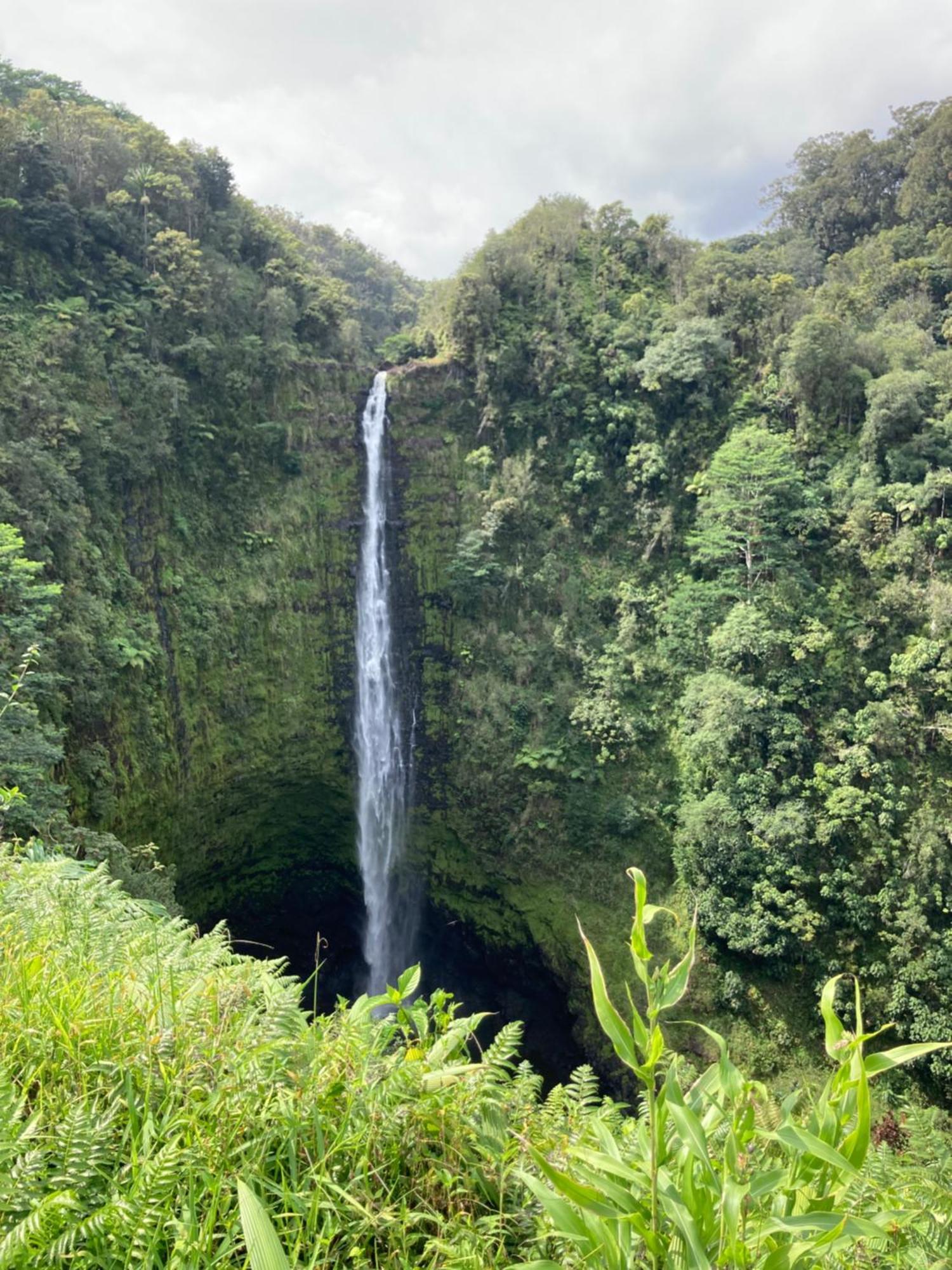 Bay Oceanfront 3* Hilo