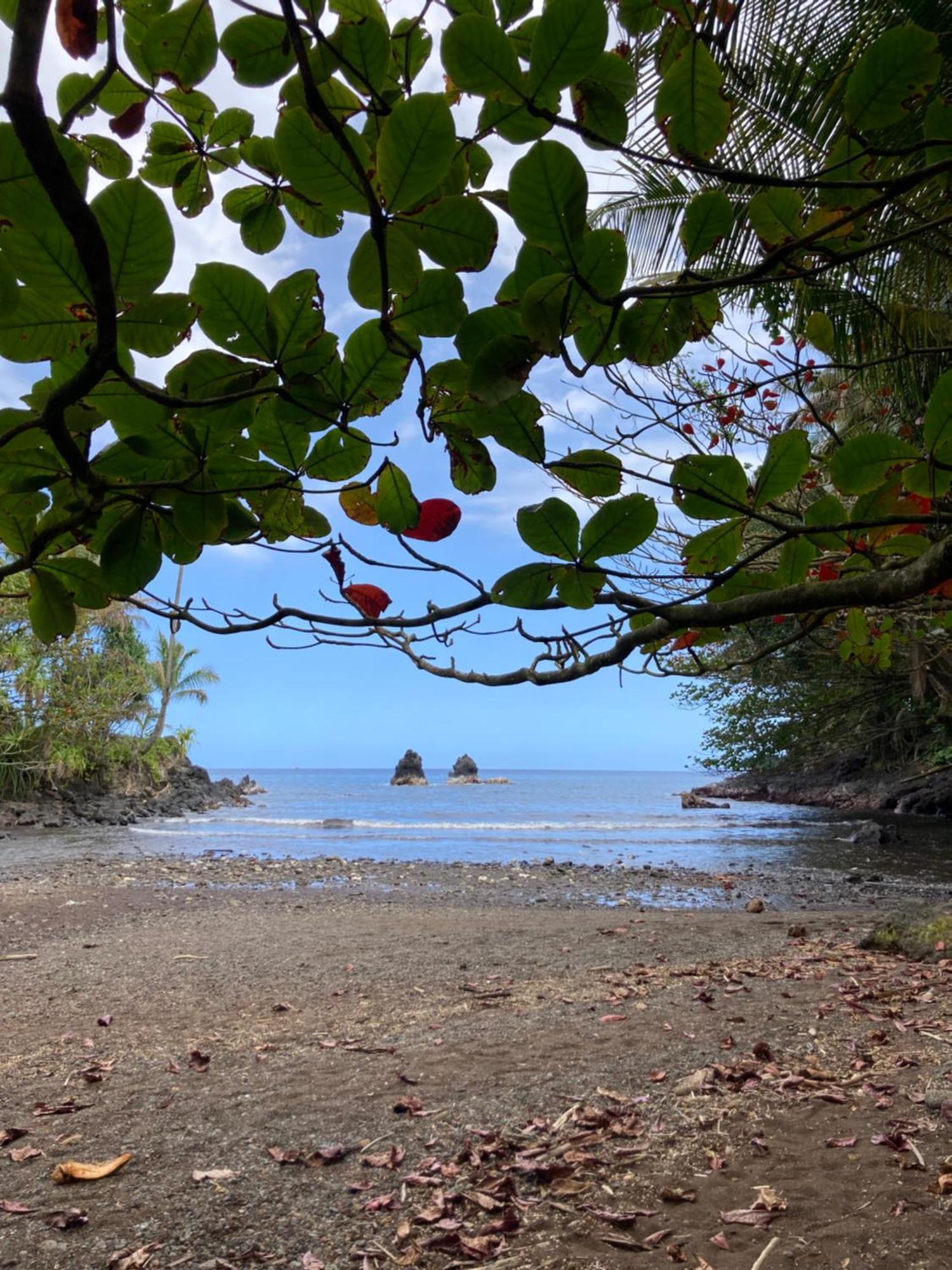 Bay Oceanfront