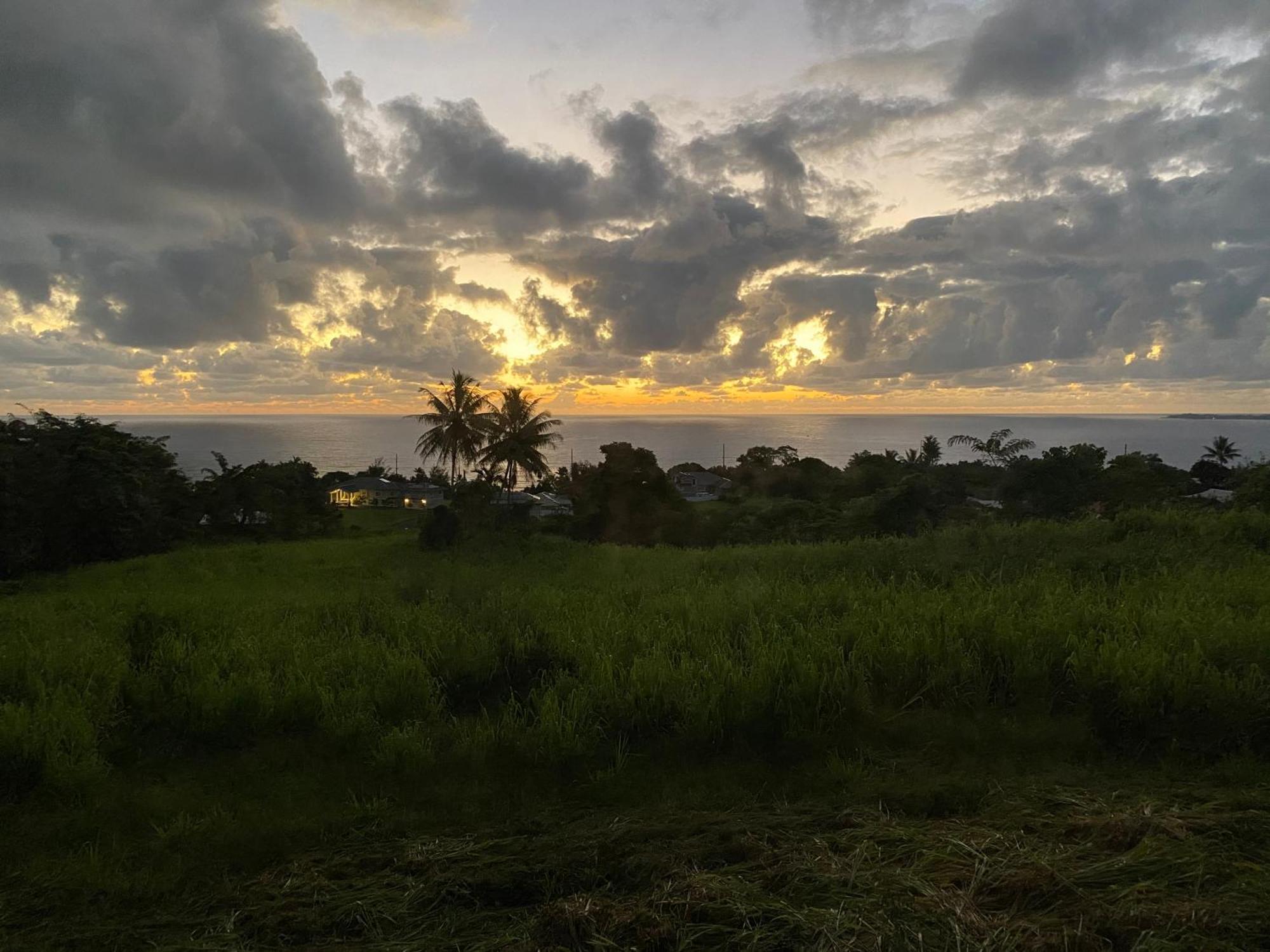 Bed & Breakfast Magic Skies