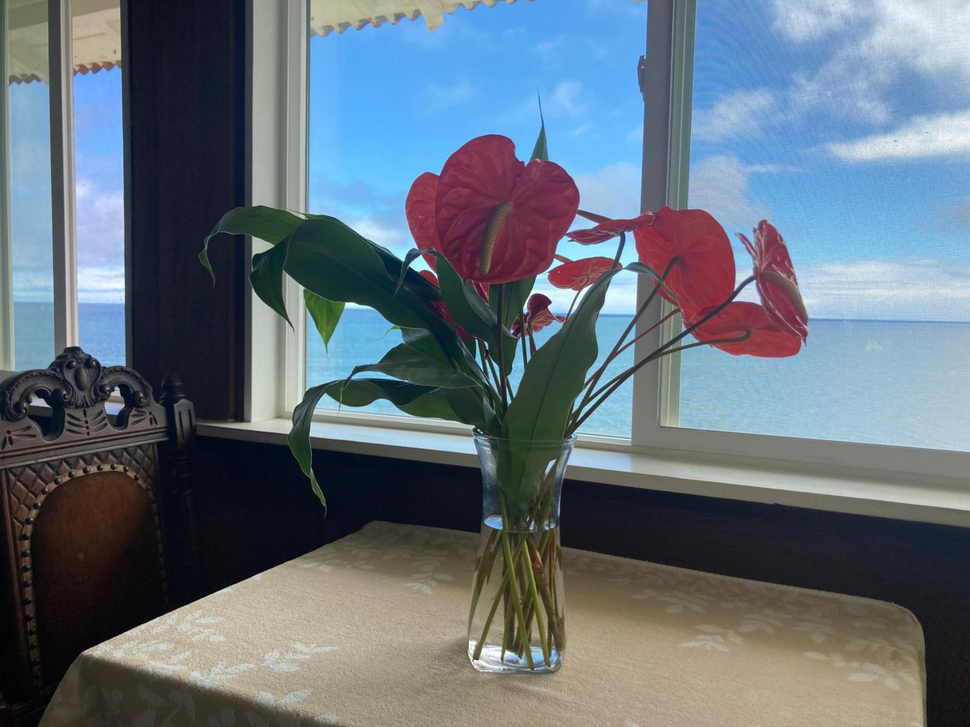 Bed & Breakfast Bay Oceanfront