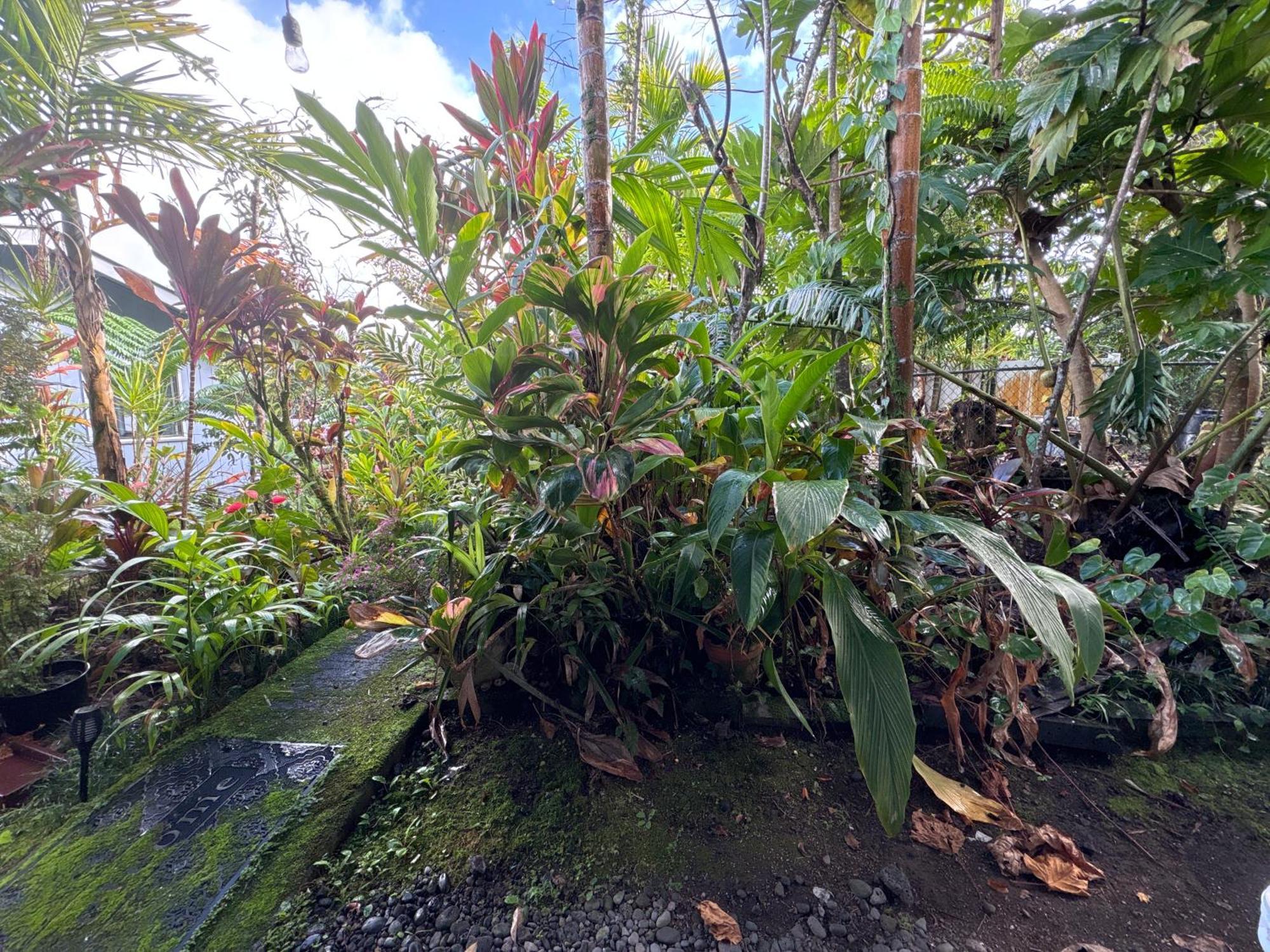 Bed & Breakfast Hawaiian Ohana Hilo