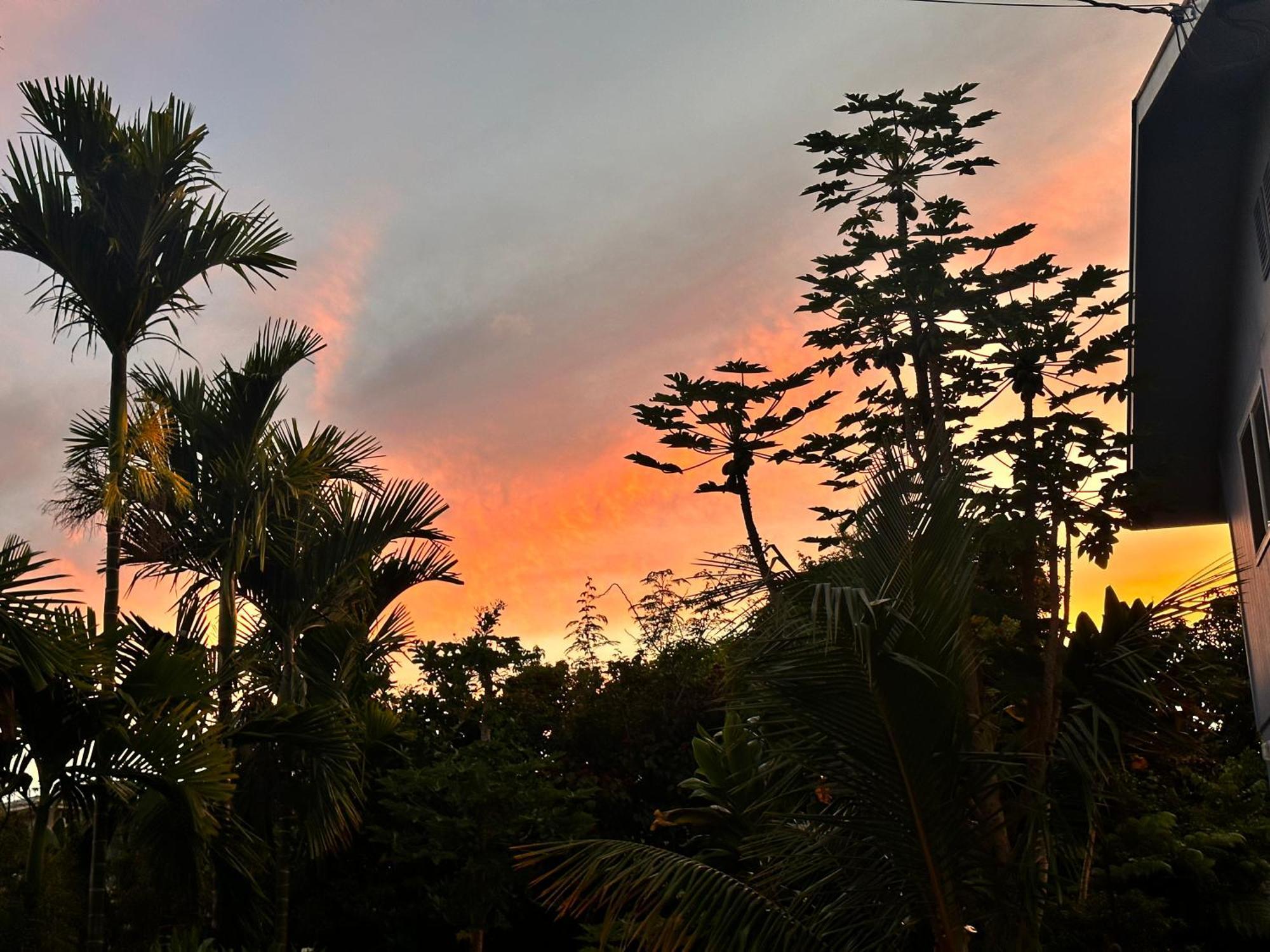 Hawaiian Ohana *