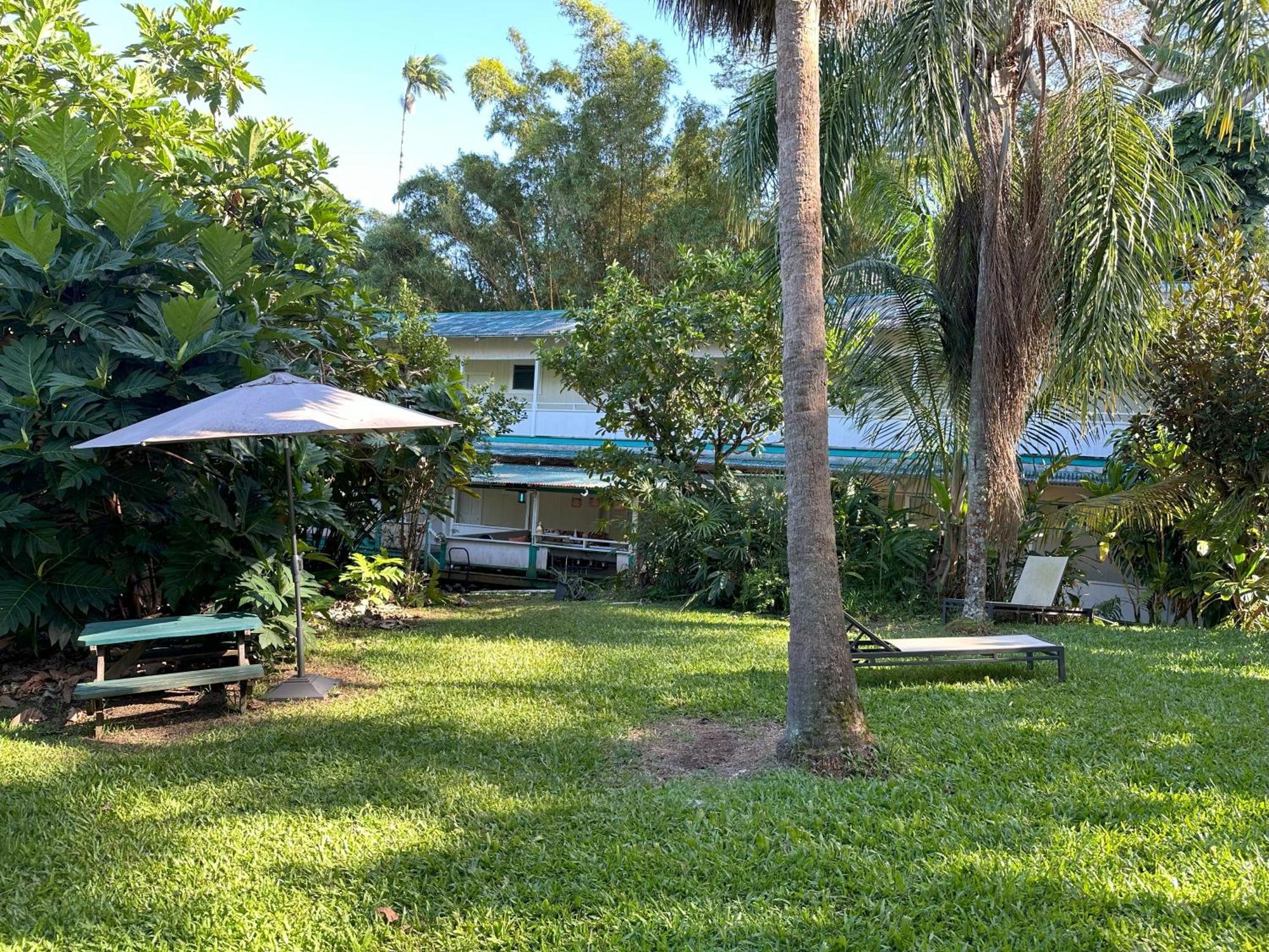 Wild Ginger 3* Hilo