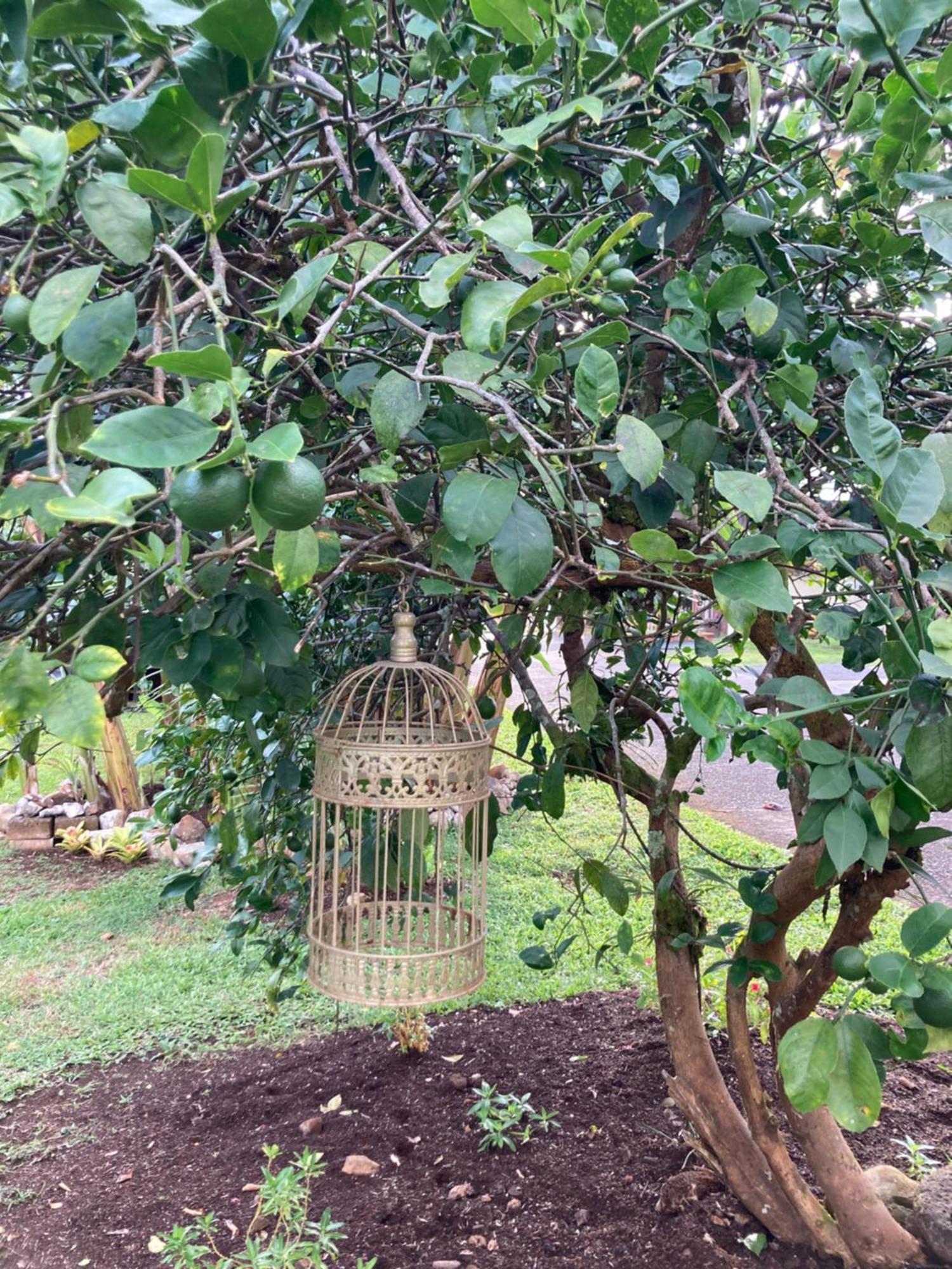 Bay Oceanfront Hilo