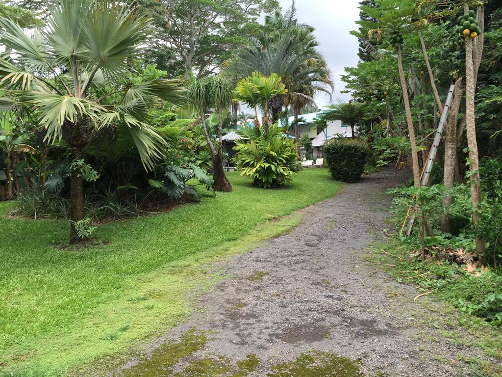 Wild Ginger & Hotel Hilo