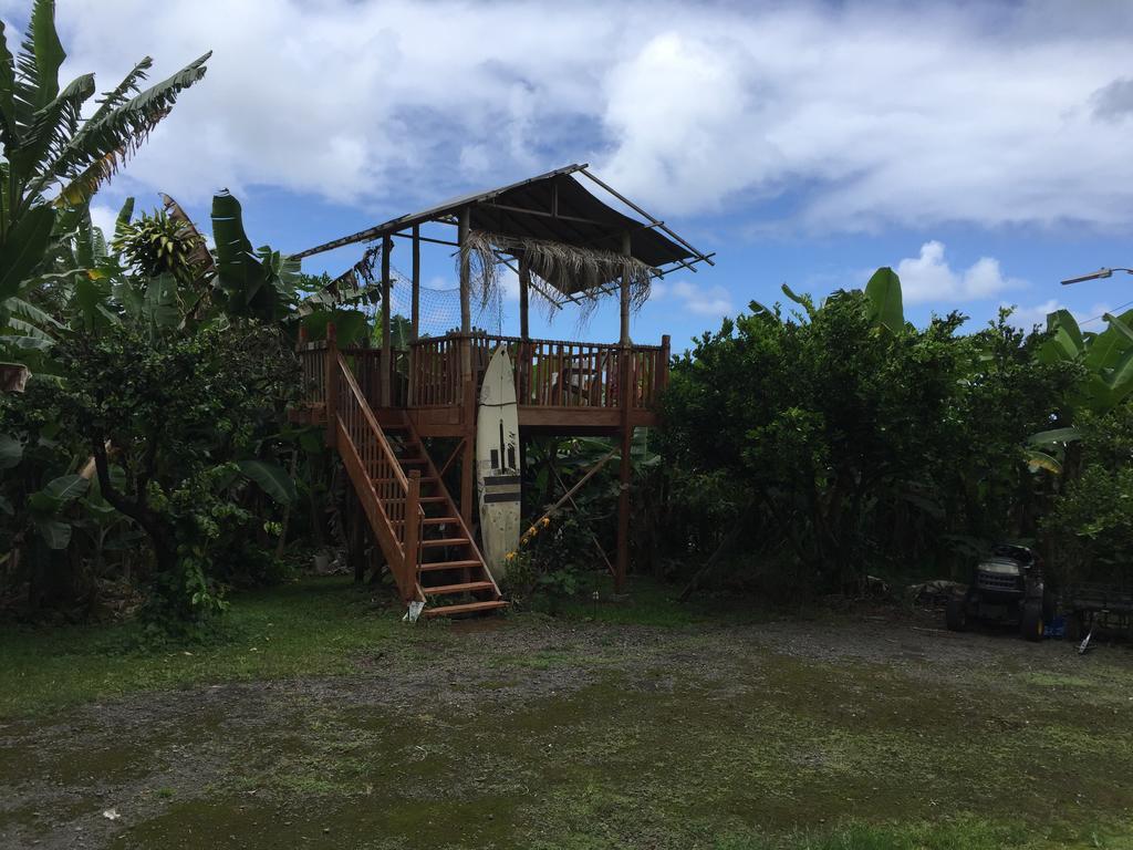 Wild Ginger & Hotel Hilo