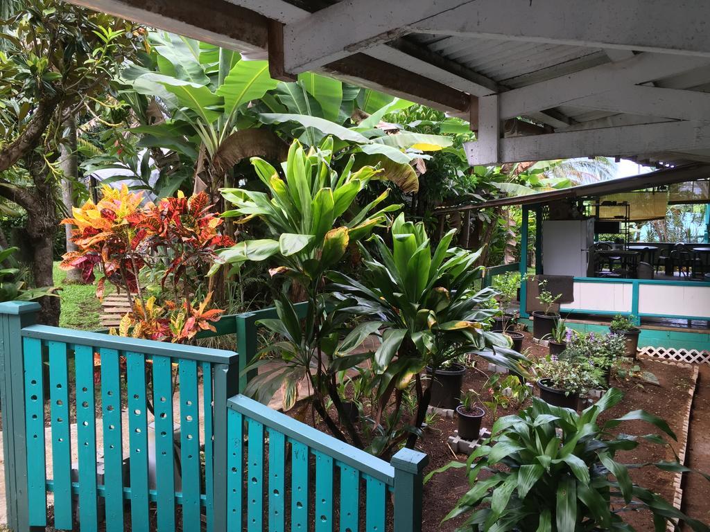 Wild Ginger & Hilo