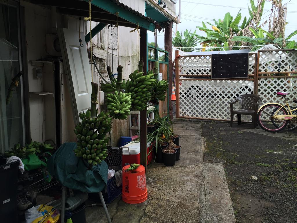 Wild Ginger & 2* Hilo