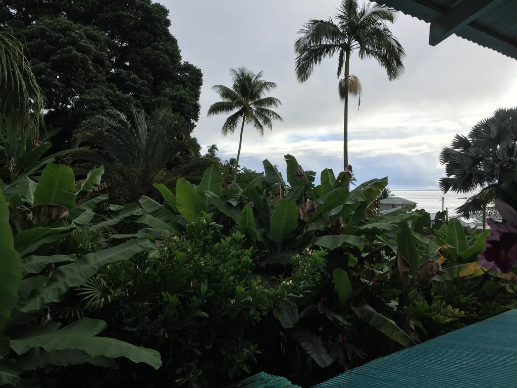Wild Ginger & 2* Hilo