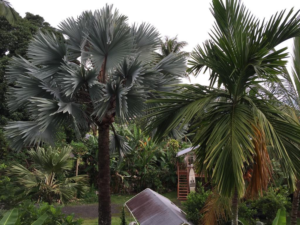 Hotel Wild Ginger & Hilo