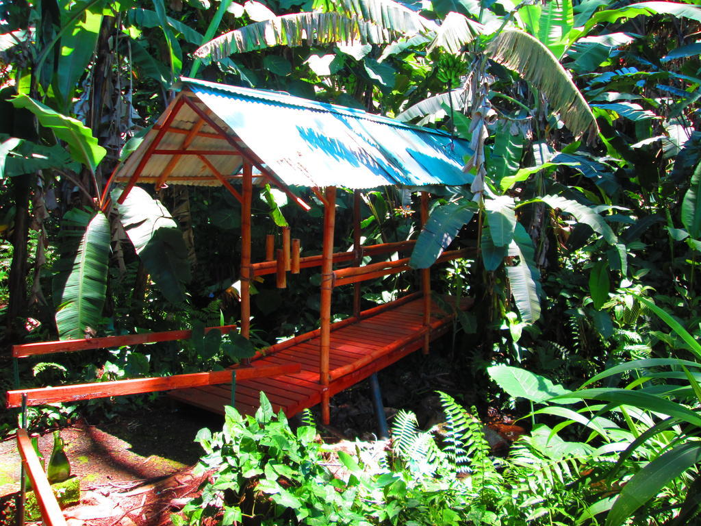 Hotel Wild Ginger & Hilo