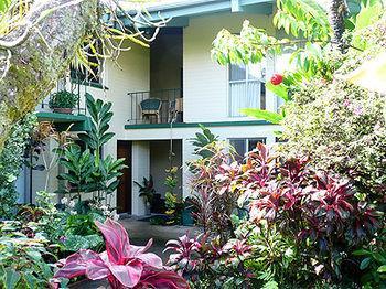 Dolphin Bay Hilo