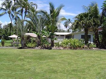 Aaron's 2* Hilo