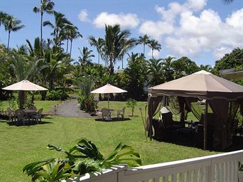Aaron's Hilo