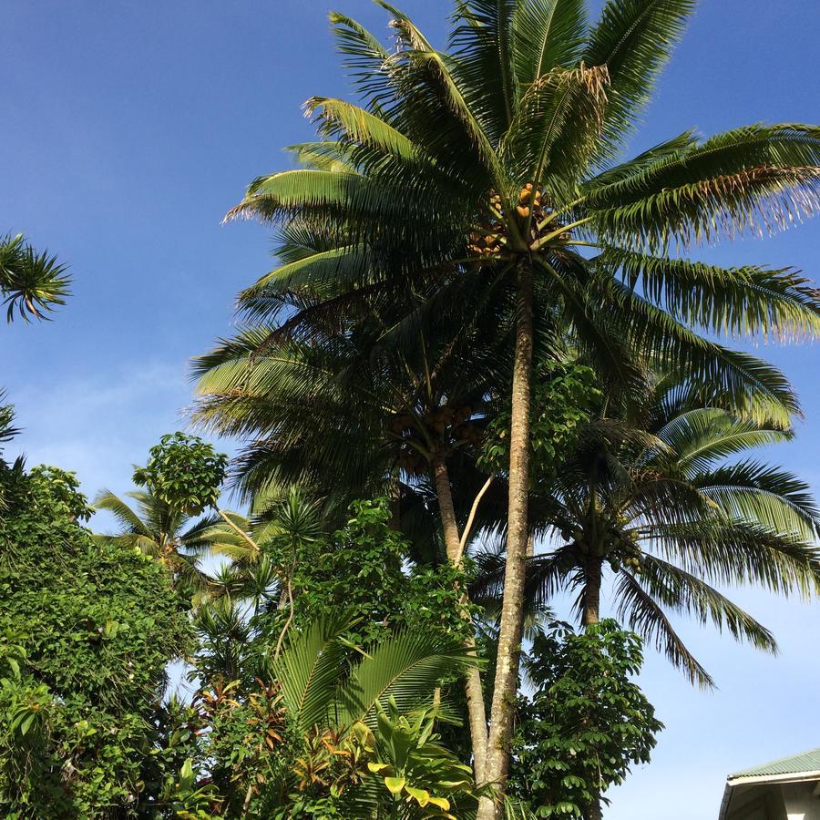 Bay Oceanfront 3* Hilo