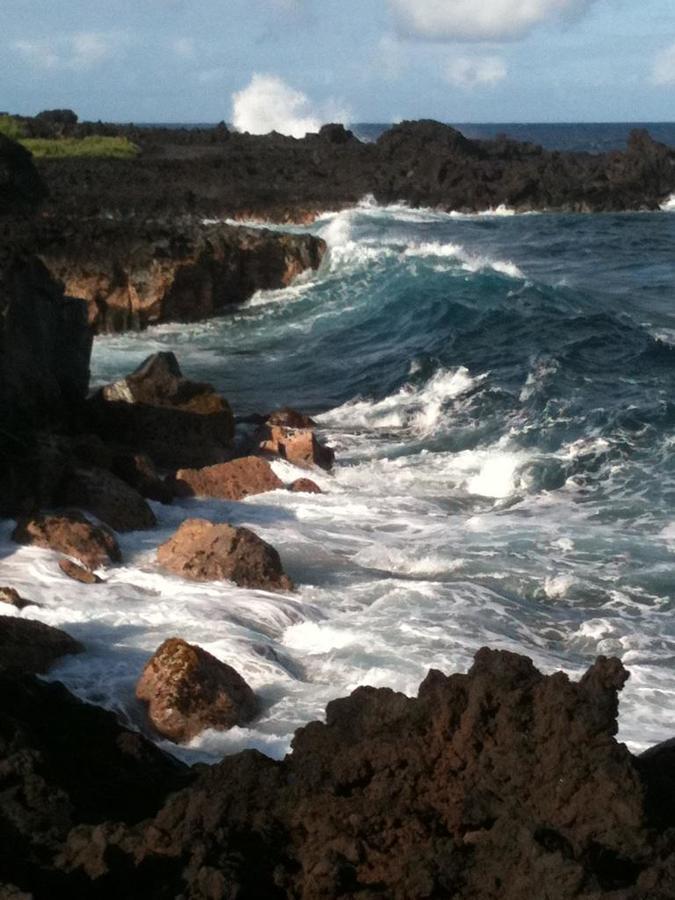Hawaii Tropical Volcano Mansion + Sauna *
