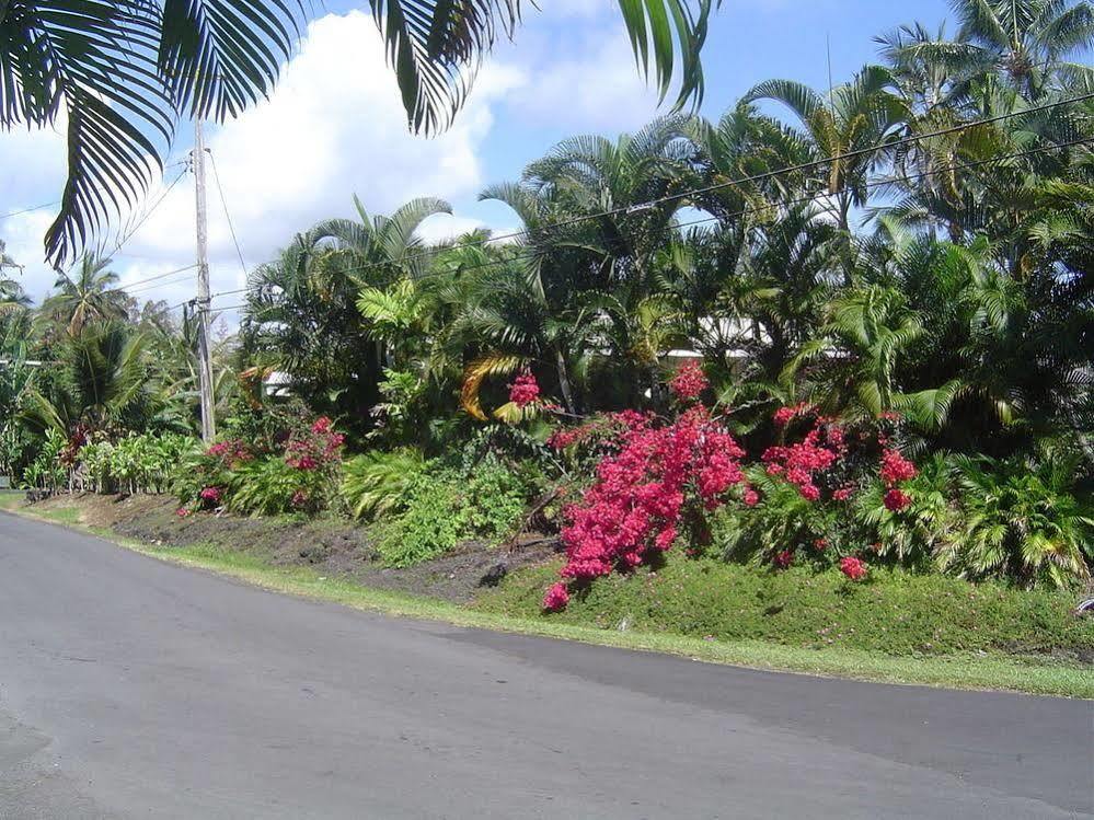 Aaron's Hilo