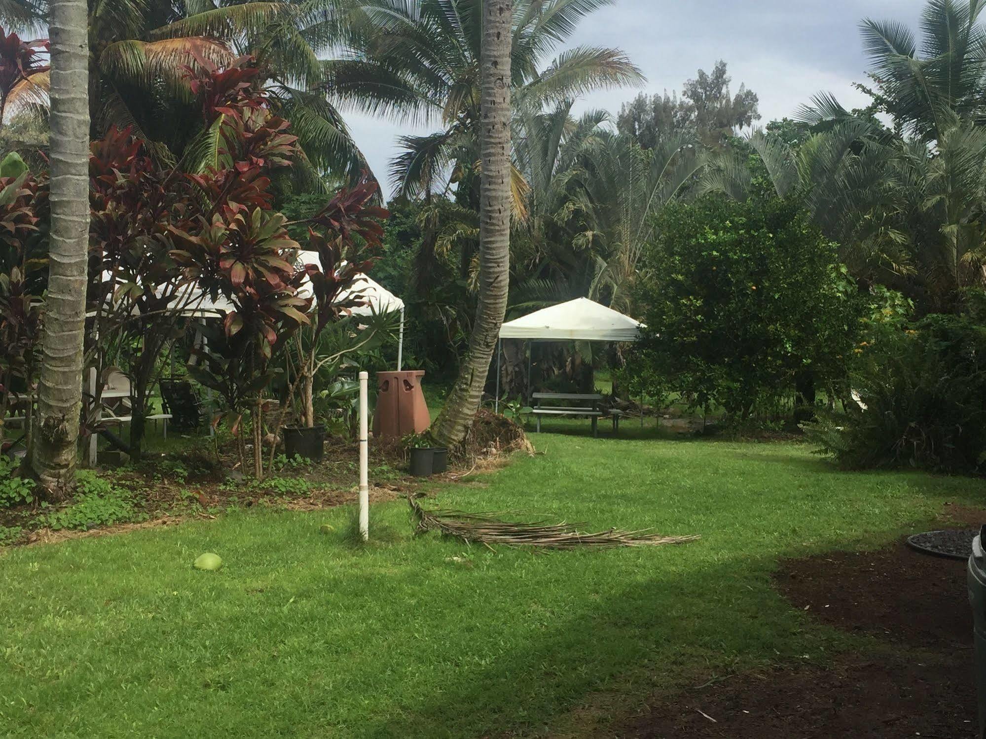 Bed & Breakfast Aaron's Hilo