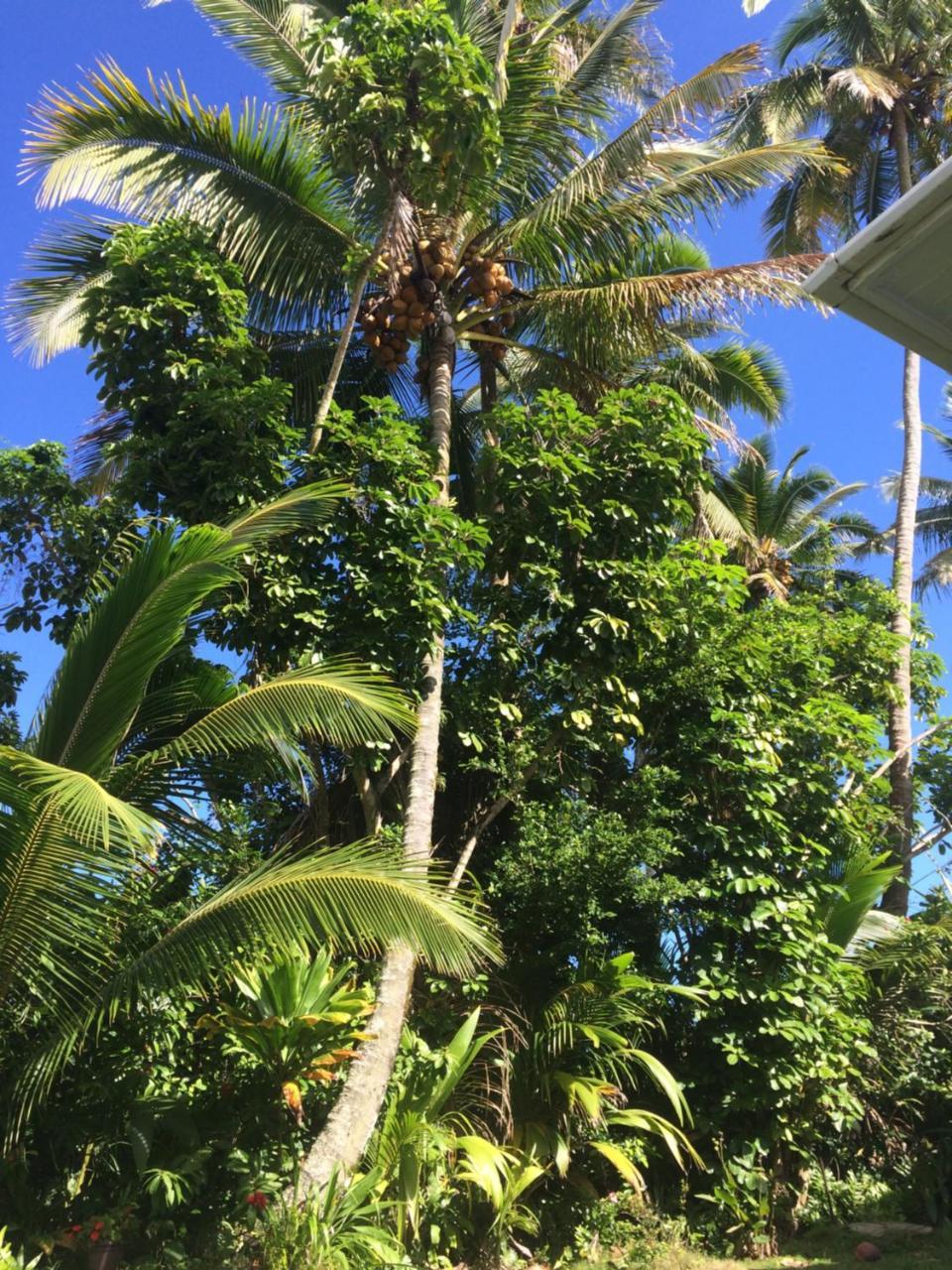 Bay Oceanfront Bed & Breakfast 3*