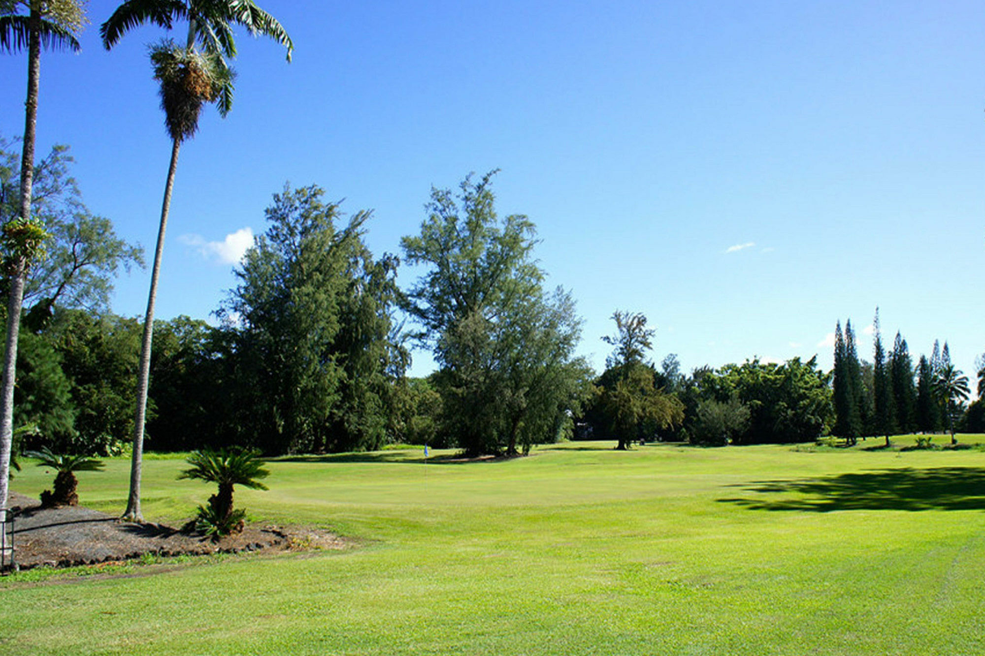 Grand Naniloa Hotel, A Doubletree By Hilton Resort