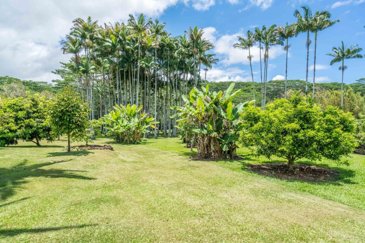 Old Hawaiian 3* Hilo