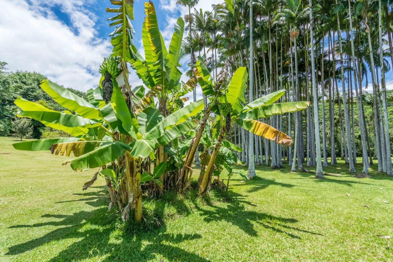 Bed & Breakfast Old Hawaiian Hilo