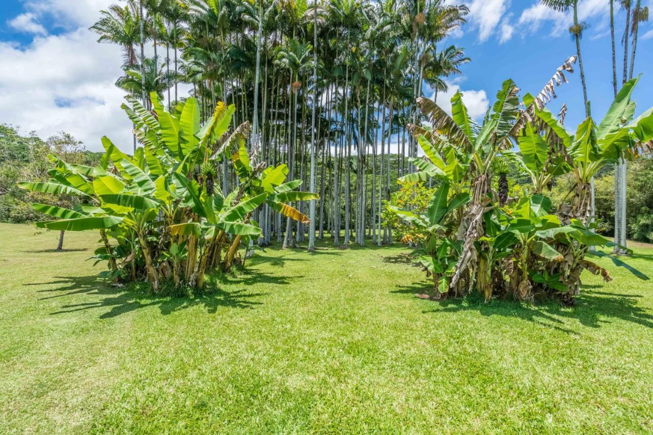 Old Hawaiian 3*
