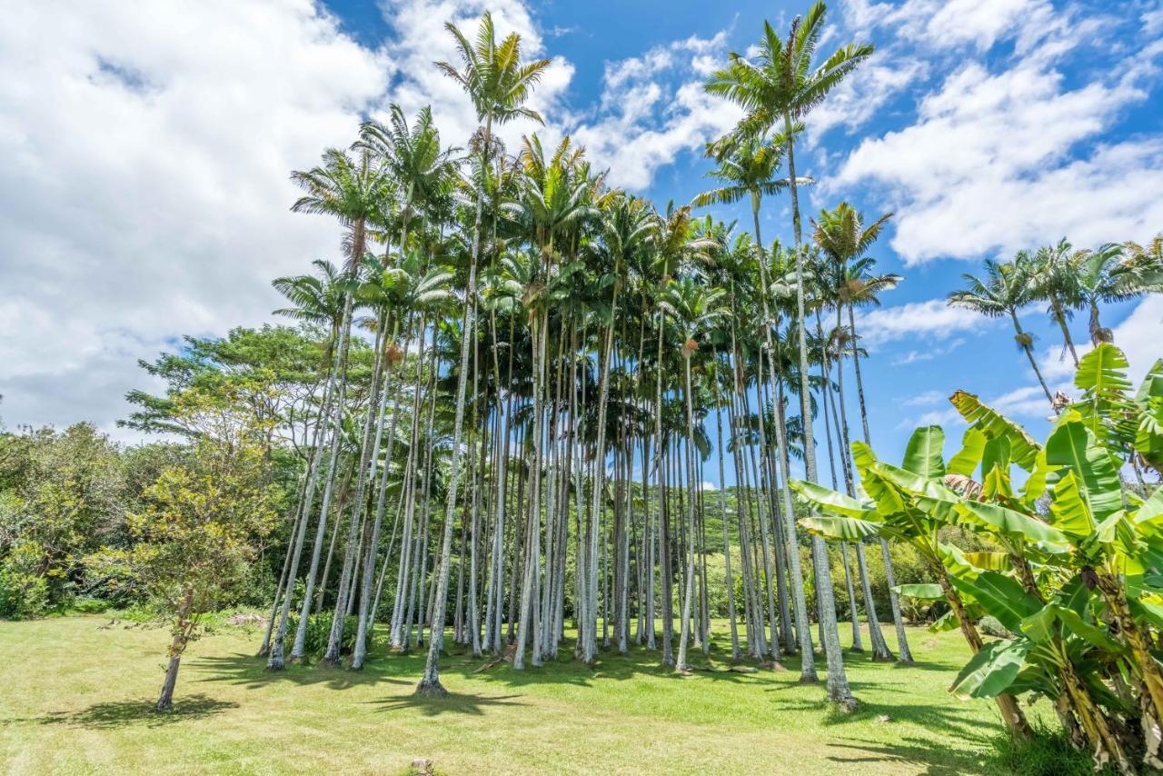 Old Hawaiian Bed & Breakfast Hilo